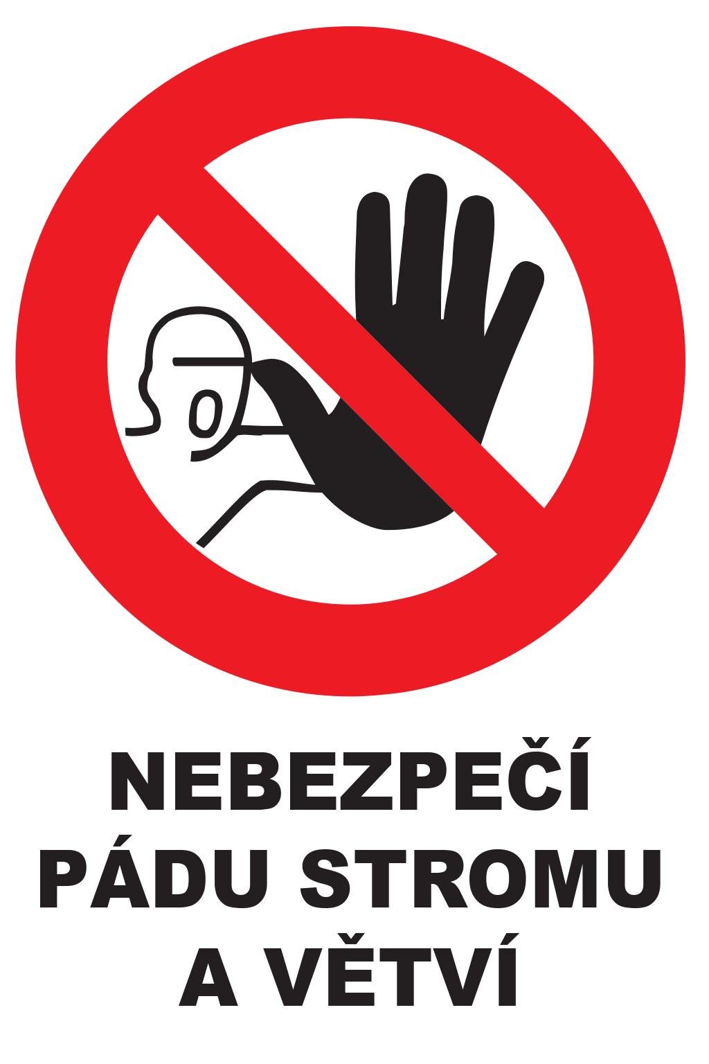 Nebezpečí pádu stromu a větví